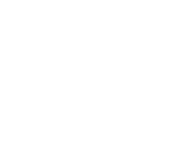 Taurus Logo